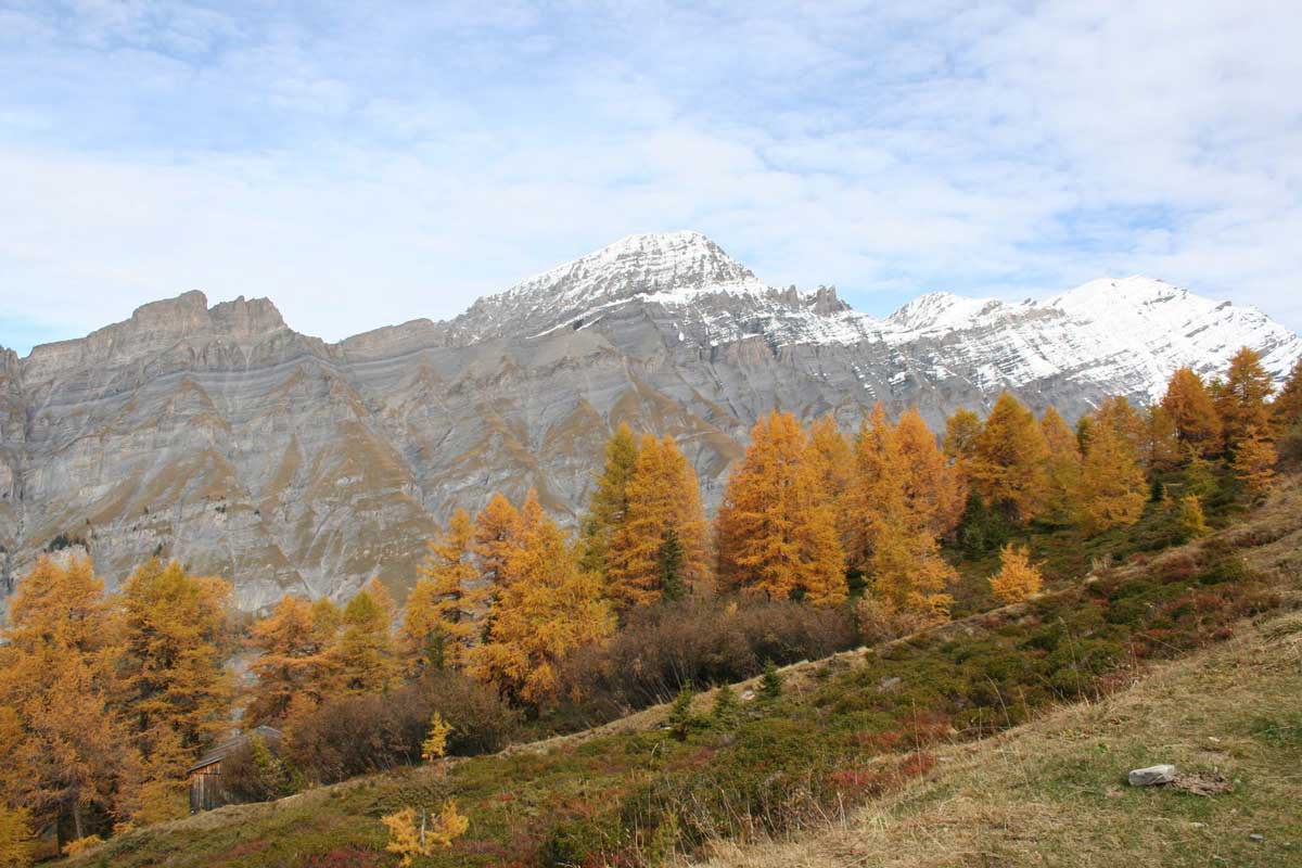 Photographie depuis le Torrent en automne, arbres orangés et magnifique montagen en arrière plan