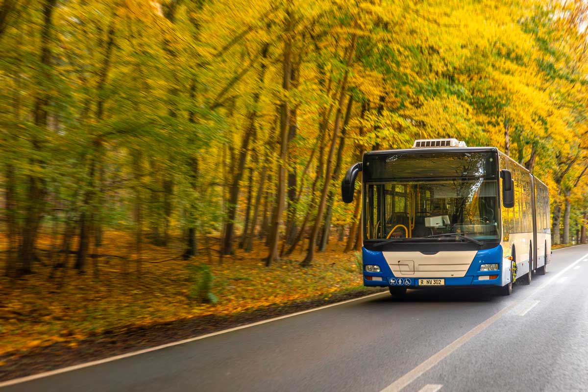 Bus urbain en automne vehicule routier en mouvement sur une route traversant une forêt